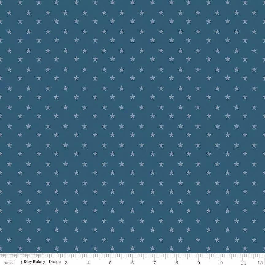 Coming Home C14423 DENIM by Vicki Gifford for Riley Blake Fabrics- Riley Blake Designs Sold by the yard only!