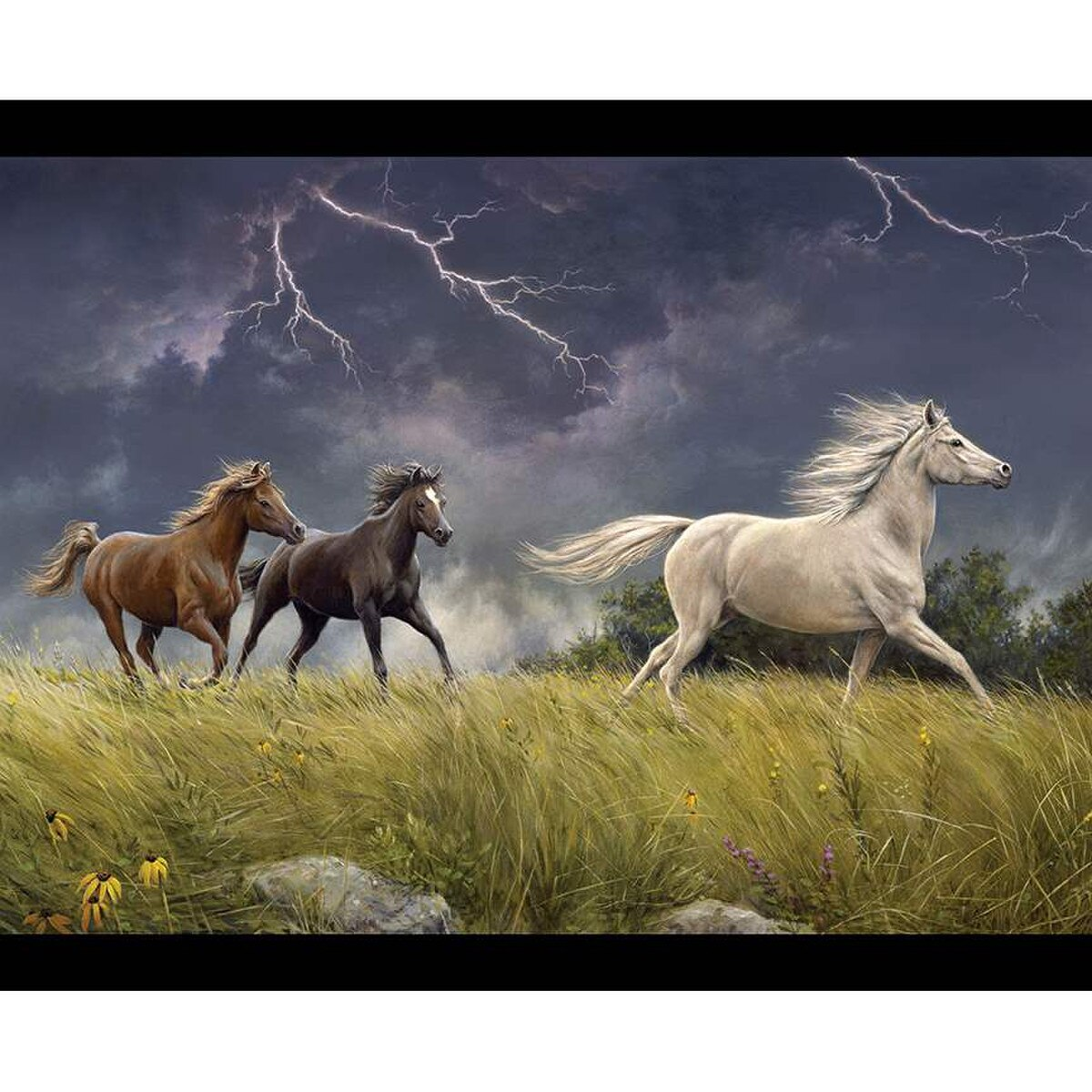 Wild Horses Storm on the Prairie Panel BY Riley Blake -PANEL - Panel measures 36" x 43.5"