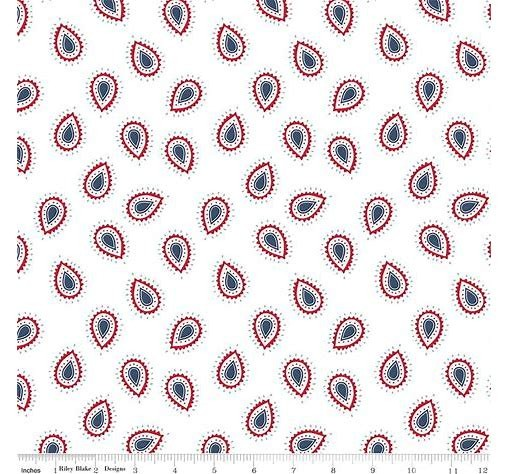 American Beauty Paisley C14442-WHITE By Dani Mogstad For Riley Blake Fabric-- Riley Blake Designs Sold by the yard