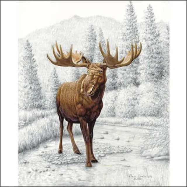 Moose Riley Blake Big Game Panel - 100% Cotton Fabric. Sold by the yard only!