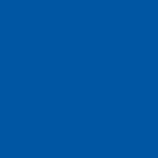 Confetti Cotton Solid - by the 1/2 yard - Riley Blake - RILEY Royal Blue
