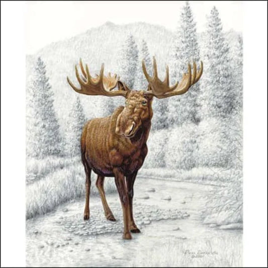 Moose Riley Blake Big Game Panel -  100% Cotton Fabric.   Sold by the yard only!